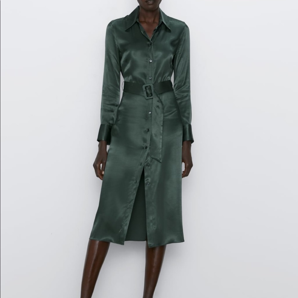 ZARA Stain Dress